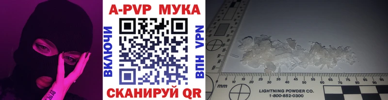 дарк нет официальный сайт  Чулым  Alpha PVP СК 