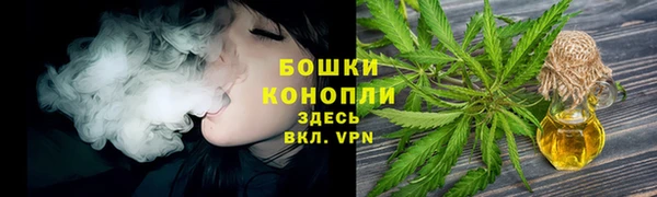 ГАЛЛЮЦИНОГЕННЫЕ ГРИБЫ Балабаново