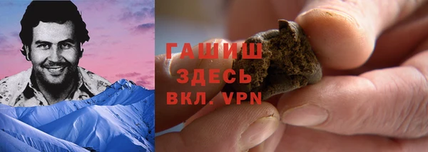 молекула духа Балахна
