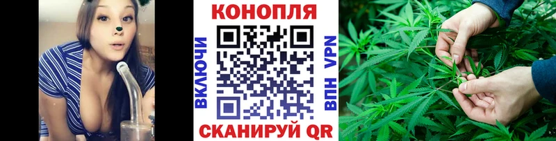 где найти наркотики  Чулым  Каннабис ГИДРОПОН 